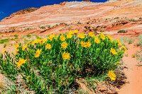 Page, Arizona